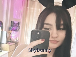 Shybunny