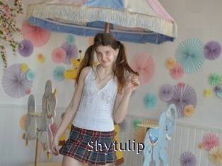 shytulip webcam livesex