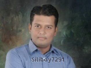 Siliboy7291