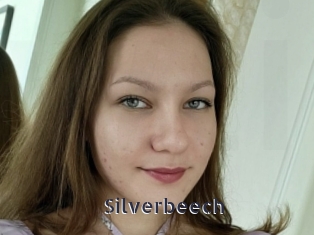 Silverbeech