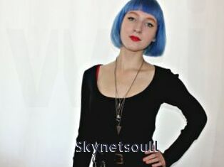 Skynetsoull