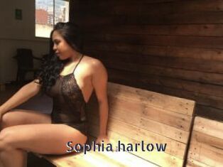 Sophia_harlow