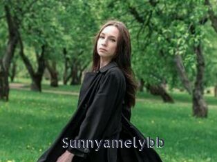 Sunnyamelybb
