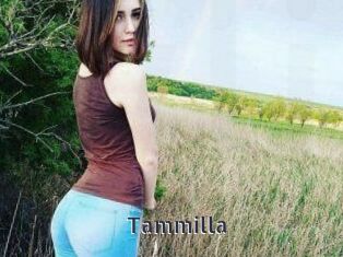 Tammilla_