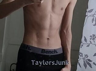 TaylorsJunk