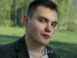 TeddyRios