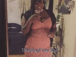TheBigFine304