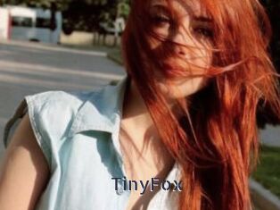 TinyFox
