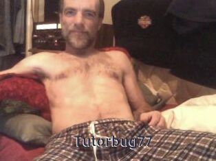 Tutorbug77