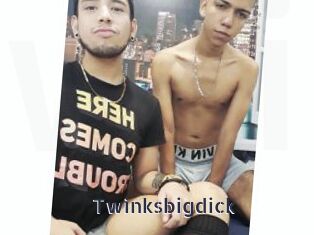 Twinksbigdick