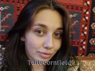 Taitecornfield