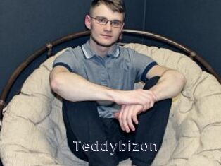 Teddybizon