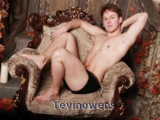 Tevinowens