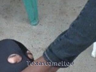 Texascameltoe
