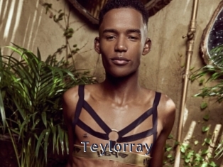 teylorray webcam livesex