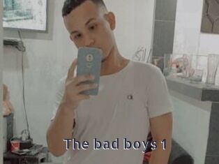 The_bad_boys_1