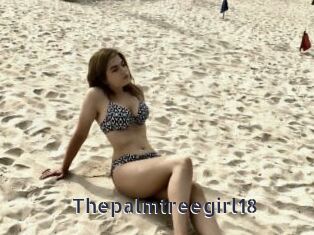 Thepalmtreegirl18