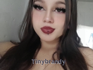 Tinybrandy