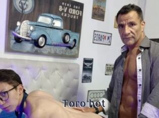 Toro_hot