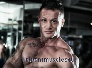Tridentmuscles4u