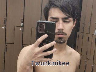 Twunkmikee