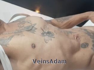 VeinsAdam webcam livesex