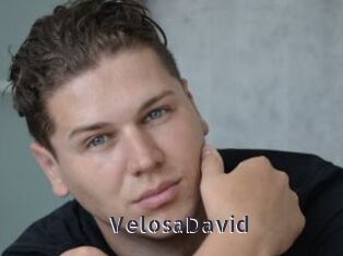 VelosaDavid