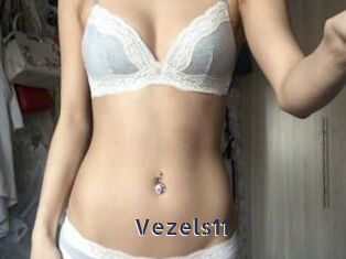 Vezels11