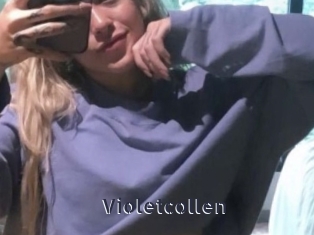 Violetcollen