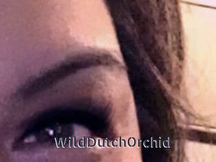 WildDutchOrchid