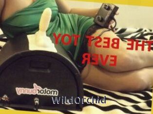 WildOrchid_