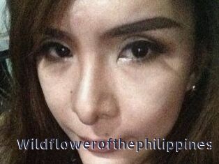 Wildflowerofthephilippines