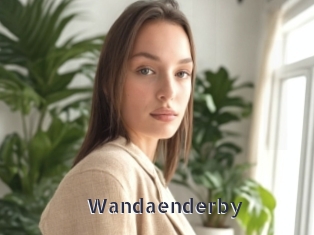 Wandaenderby