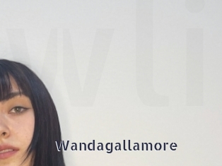 Wandagallamore
