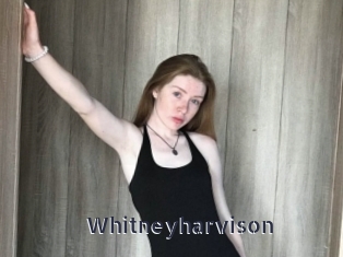 Whitneyharvison