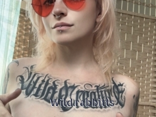 Wild.rabbitts