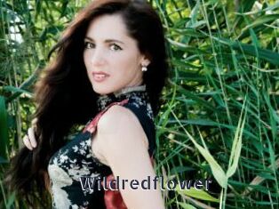 Wildredflower