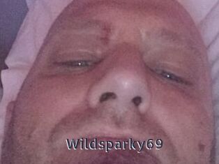 Wildsparky69