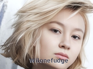 Wilonefudge