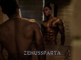 ZEHUS_SPARTA