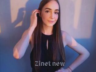 Zinet_new