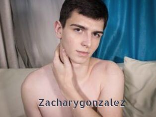 Zacharygonzalez
