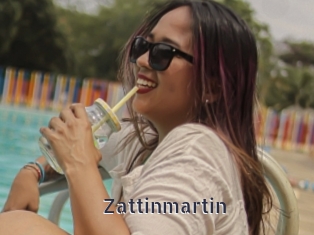 Zattinmartin